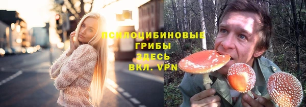 mdma Няндома