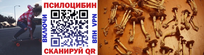 Псилоцибиновые грибы Psilocybe  ссылка на мегу рабочий сайт  Суоярви 