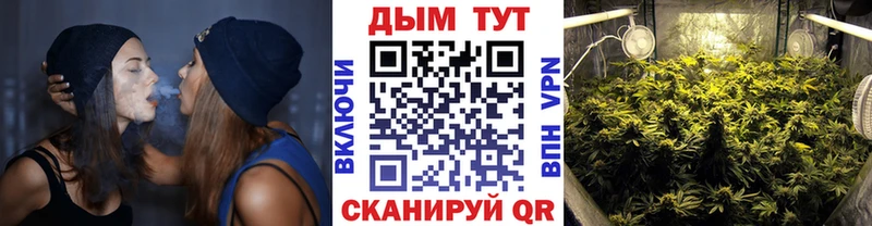 Каннабис конопля  продажа наркотиков  Суоярви 